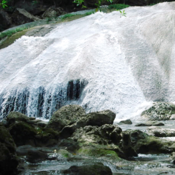 Visitar el Parque Estatal Agua Blanca  - TABASCO, MARAVILLAS NATURALES